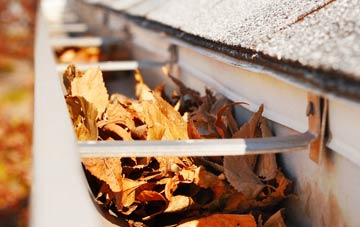 Sutton Forest Side gutter cleaning companies