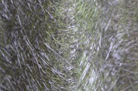 Sutton Forest Side fibreglass roof work